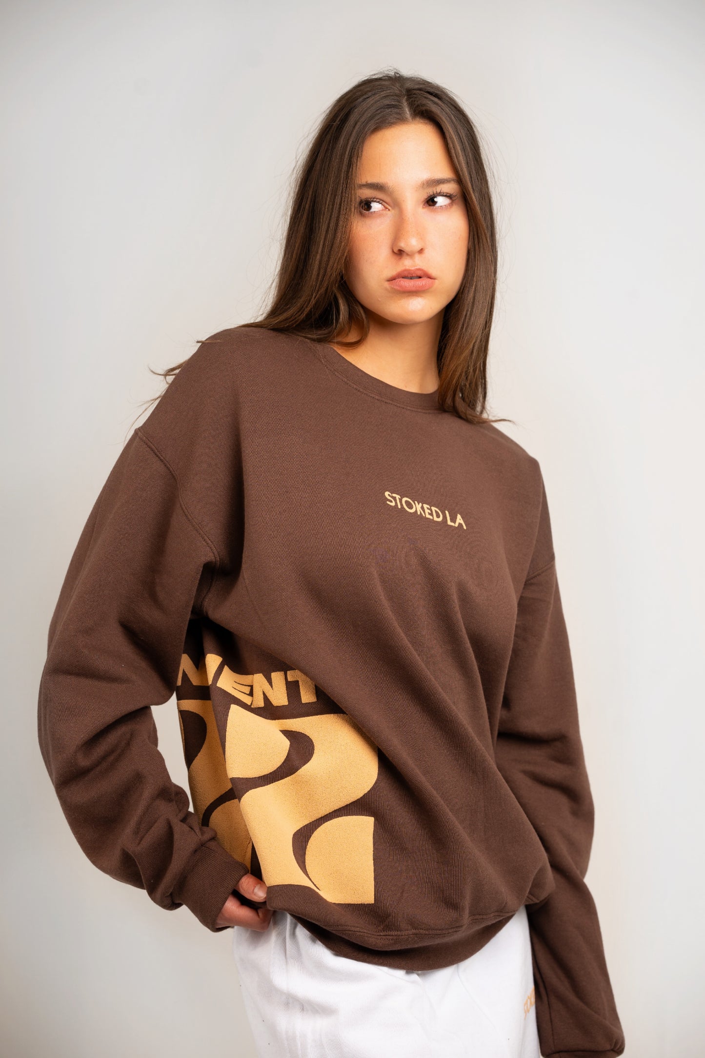 222 CREWNECK BROWN