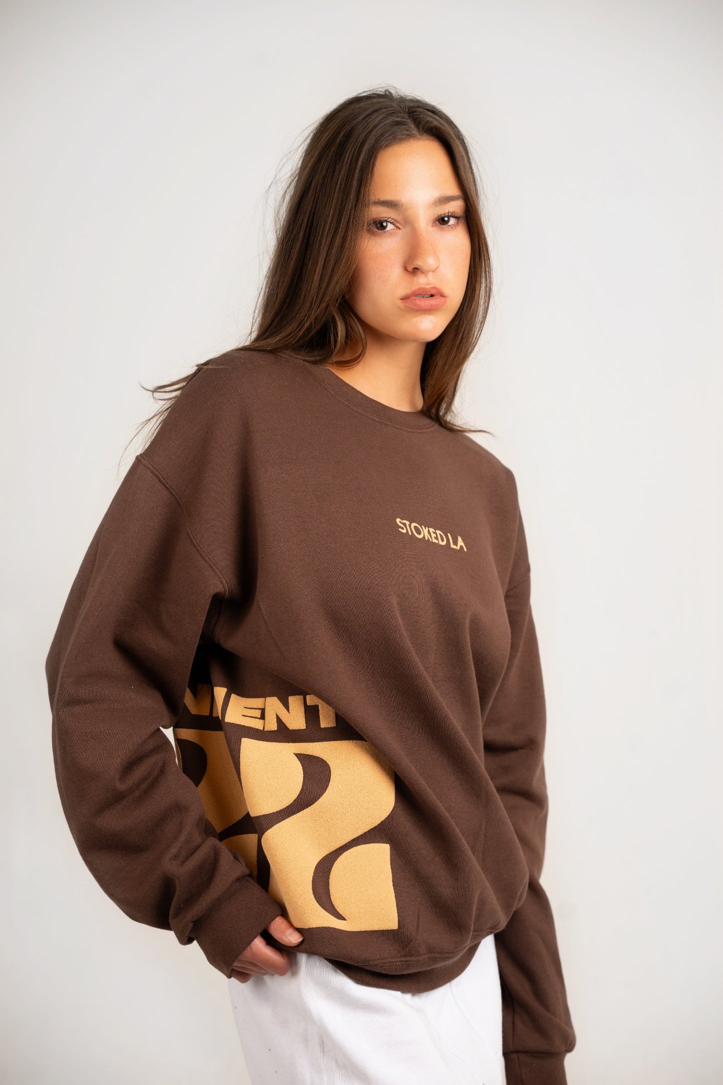 222 CREWNECK BROWN